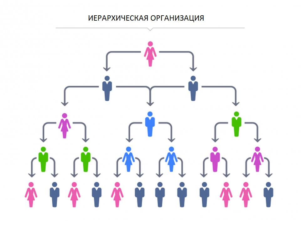 Estrutura hierárquica