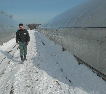 plano de negócios de inverno estufa