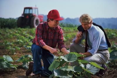 ideias de agronegócios