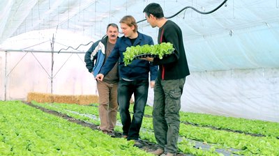 bäuerliche Landwirtschaft