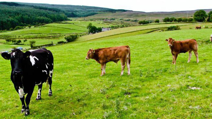 como se tornar um agricultor