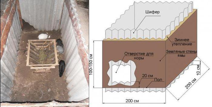 Kaninchenzucht im Grubenschema