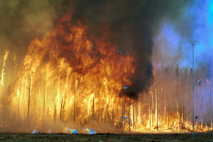 Fatores de Incêndio Danosos