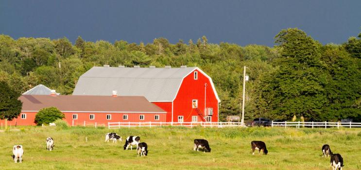 landwirtschaftlicher Betrieb