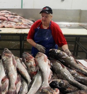 Loja de peixe como um negócio