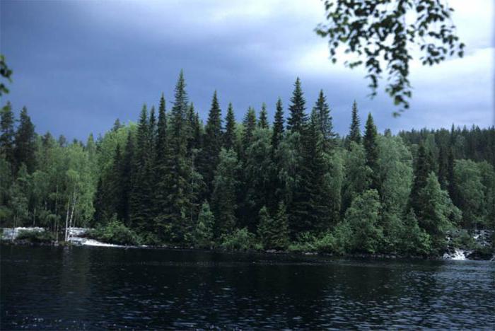 Kostomuksha Reserve für Touristen