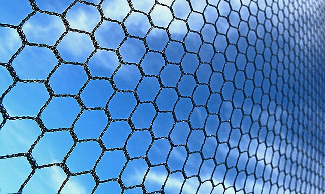 Netting Netting