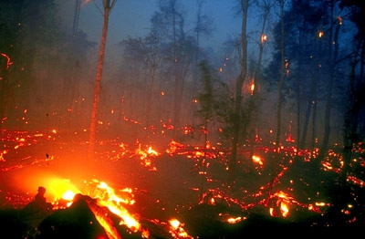 fogos de turfa