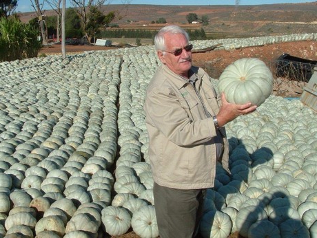 melhores sementes vegetais