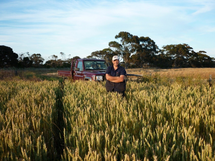  agricultura como uma ideia de negócio