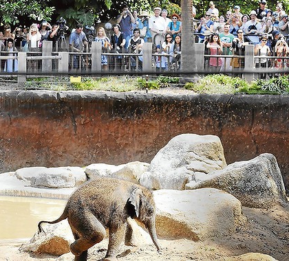 So öffnen Sie einen Kontakt-Zoo