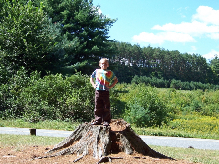 Kinder in der Natur