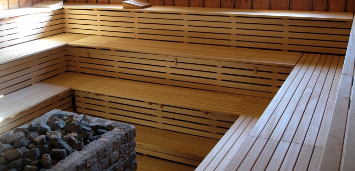 plano de negócios detalhado sauna