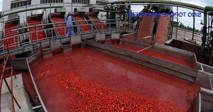 tecnologia de produção de pasta de tomate