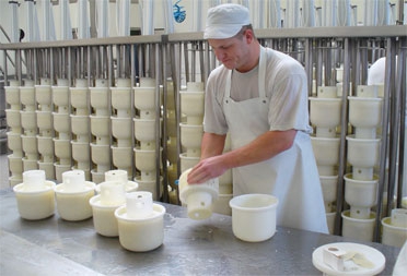 moldes para fazer queijo