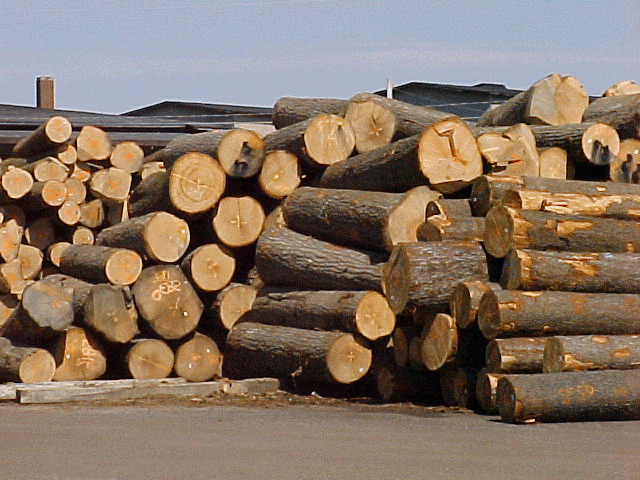 processamento de madeira