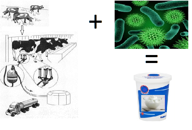 matérias-primas utilizadas para a produção de creme azedo