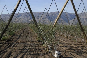 monitoramento da terra do estado