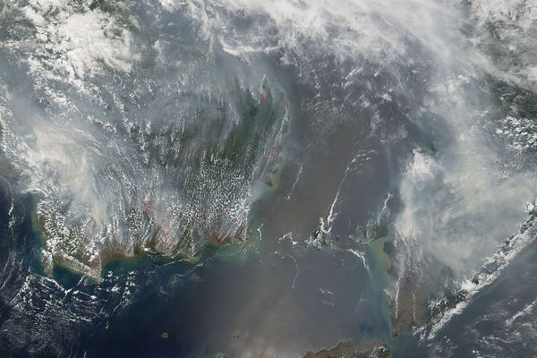 monitoramento estadual de terras agrícolas