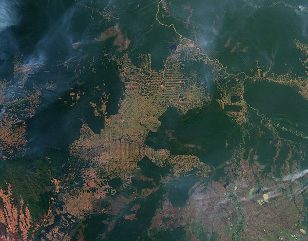 tipos de monitoramento da terra do estado