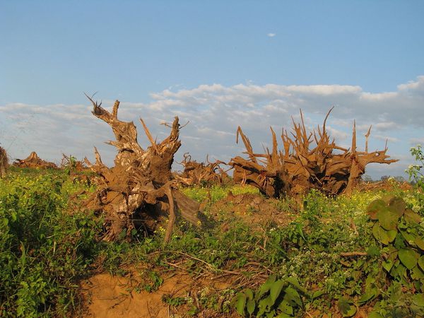 as tarefas de monitoramento da terra do estado são