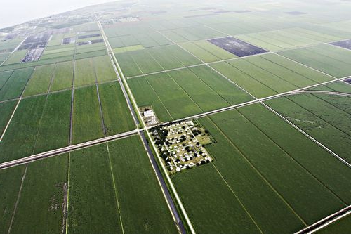 Verpachtung von Grundstücken mit Kaufoption