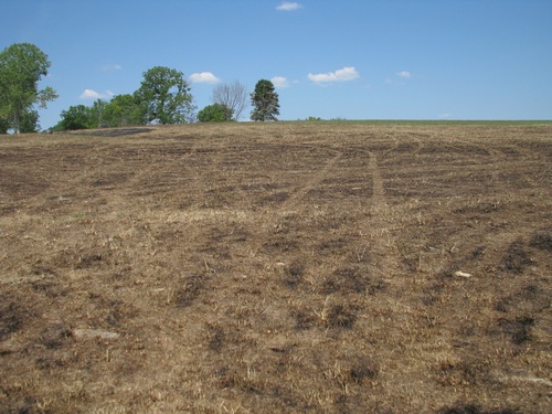 Erlösung des Landes vom Staat