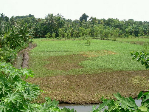 como mudar o tipo de uso permitido da terra