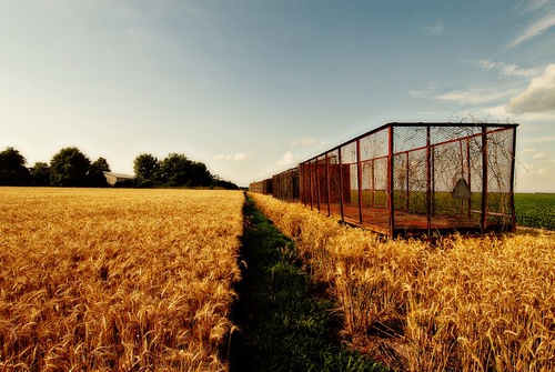 compra de terras agrícolas