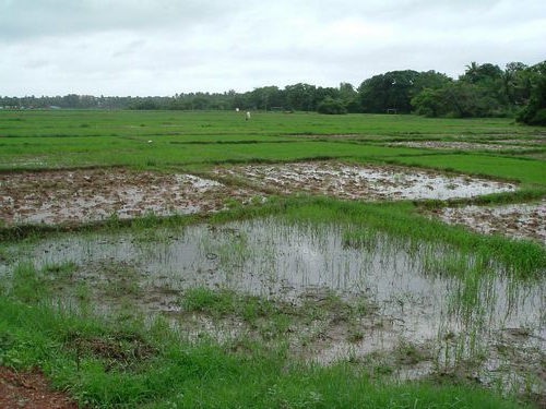 compra de terras agrícolas