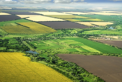 compra de terras agrícolas [