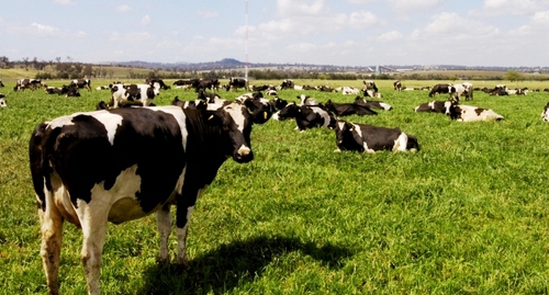 como é a compra da terra feita