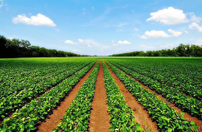 tipos de uso permitido de terras agrícolas