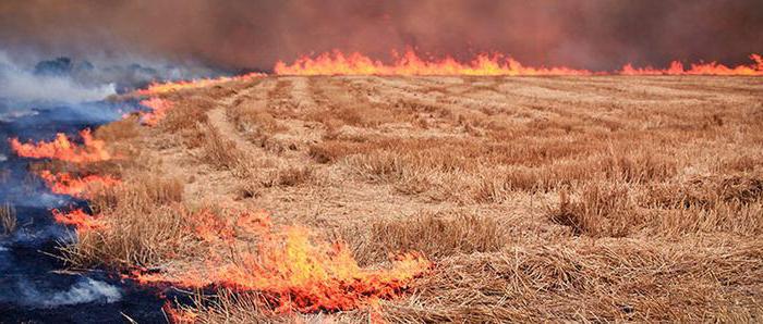 Landressourcen und Landmanagement