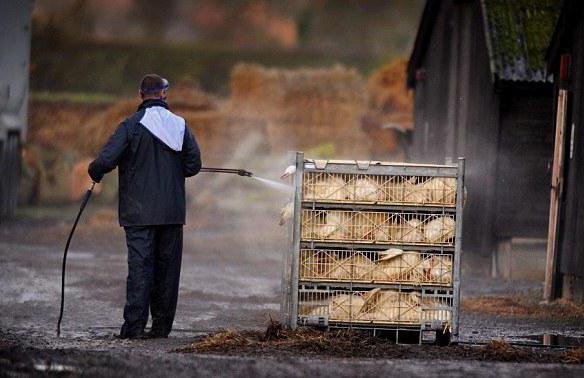 o tamanho da zona de proteção sanitária da empresa depende de