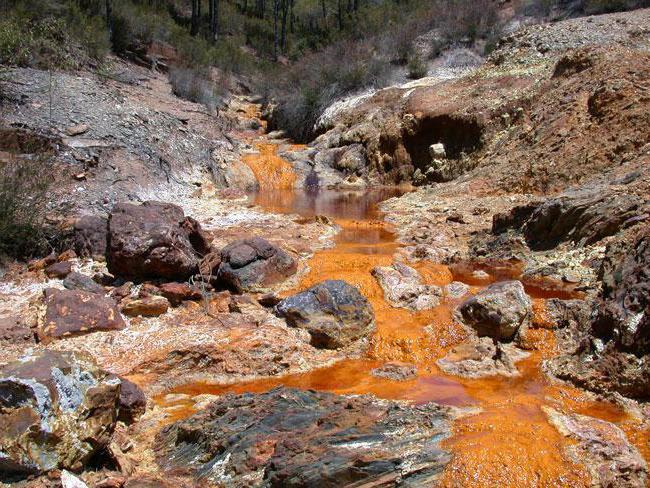 quem paga pela poluição ambiental