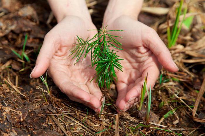 direito ambiental