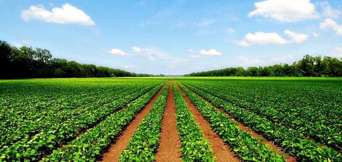 tipos de uso permitido de terras agrícolas