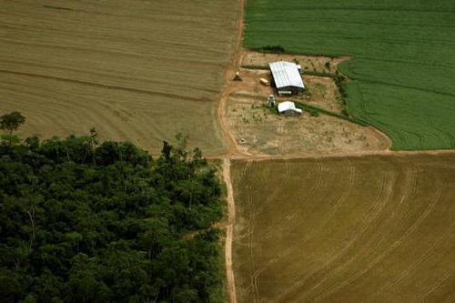 direito de uso temporário livre de terra