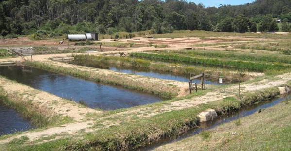 criação de trutas no equipamento da lagoa