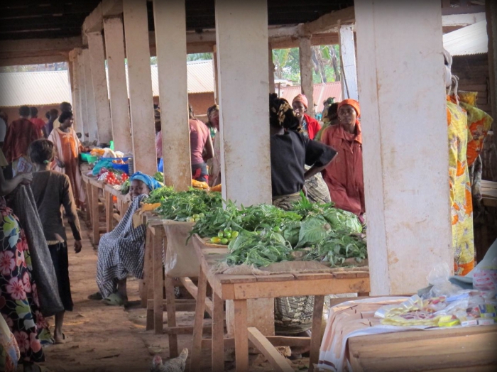 agricultura de subsistência e produção de mercadorias