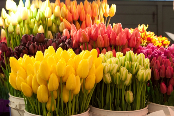 Wie fange ich an Blumen zu verkaufen?