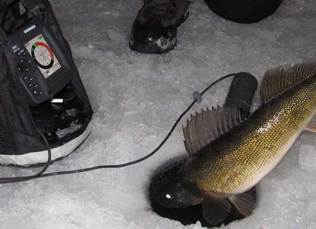 como escolher um localizador de peixe para a pesca de inverno