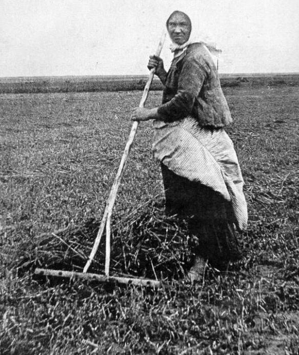 Verabschiedung von Dekreten über Frieden und Land