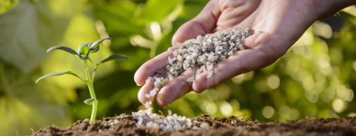 Revisões de aplicação de fertilizantes Nitrofosk