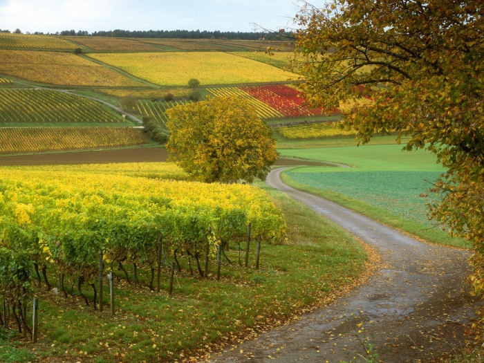 Schengen-Visum nach Frankreich