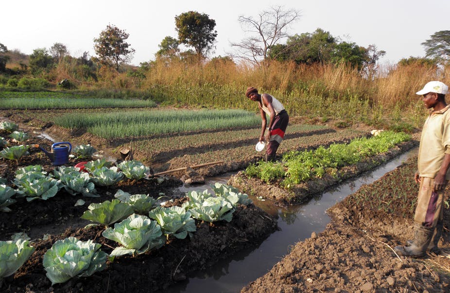 Fundo de Redistribuição de Terras Agrícolas