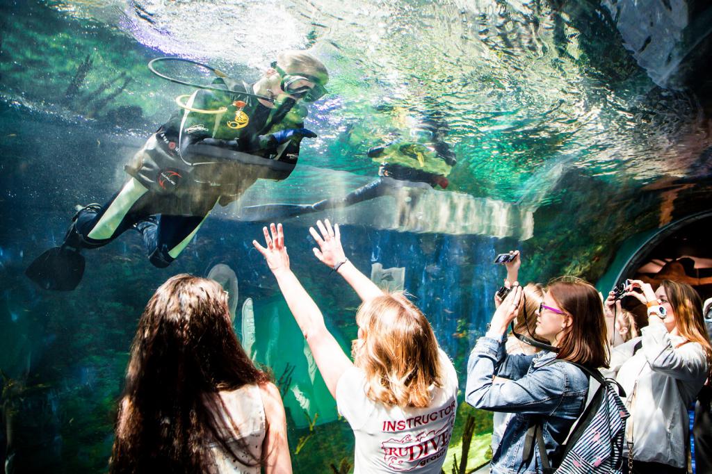 Geburtstag im Aquarium