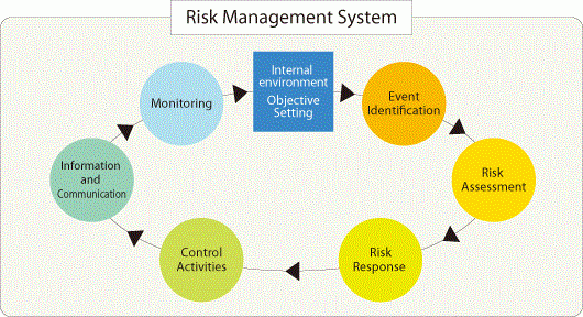 Enterprise Risk Management System