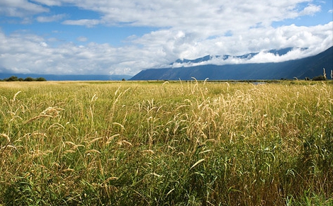 Landprivatisierung